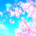 Hyouka, cherry blossom, 桜
